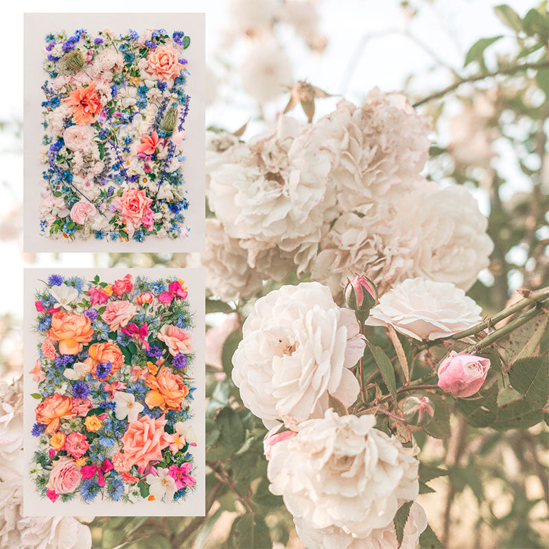 Rose theme botanical prints