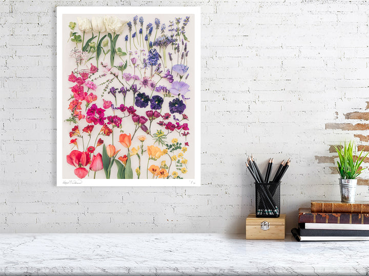 Harmony I fine art print