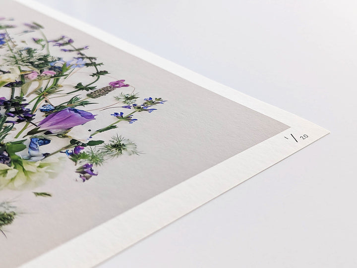Giclee paper and numbered April Blues print