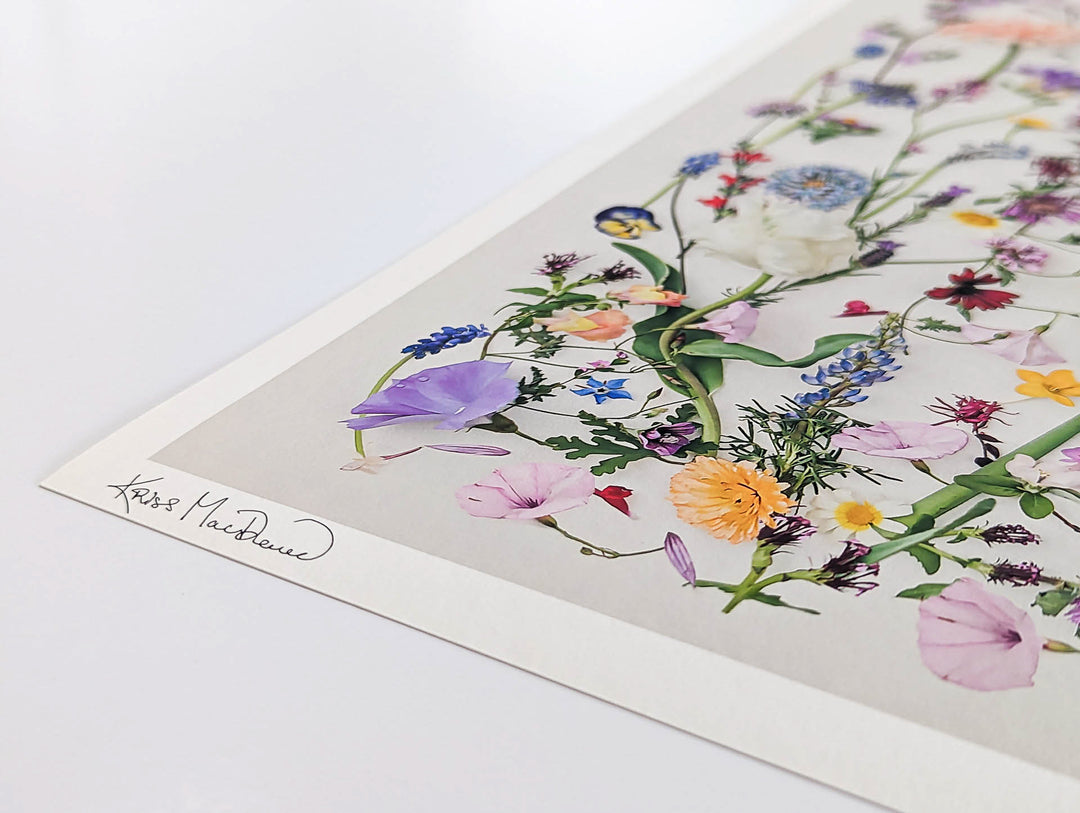 Countryside Spring fine art print