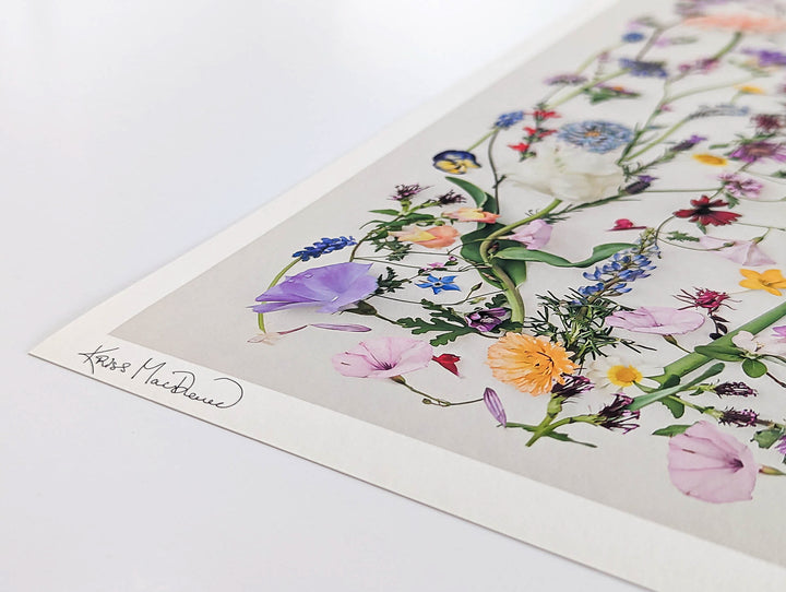 Countryside Spring fine art print