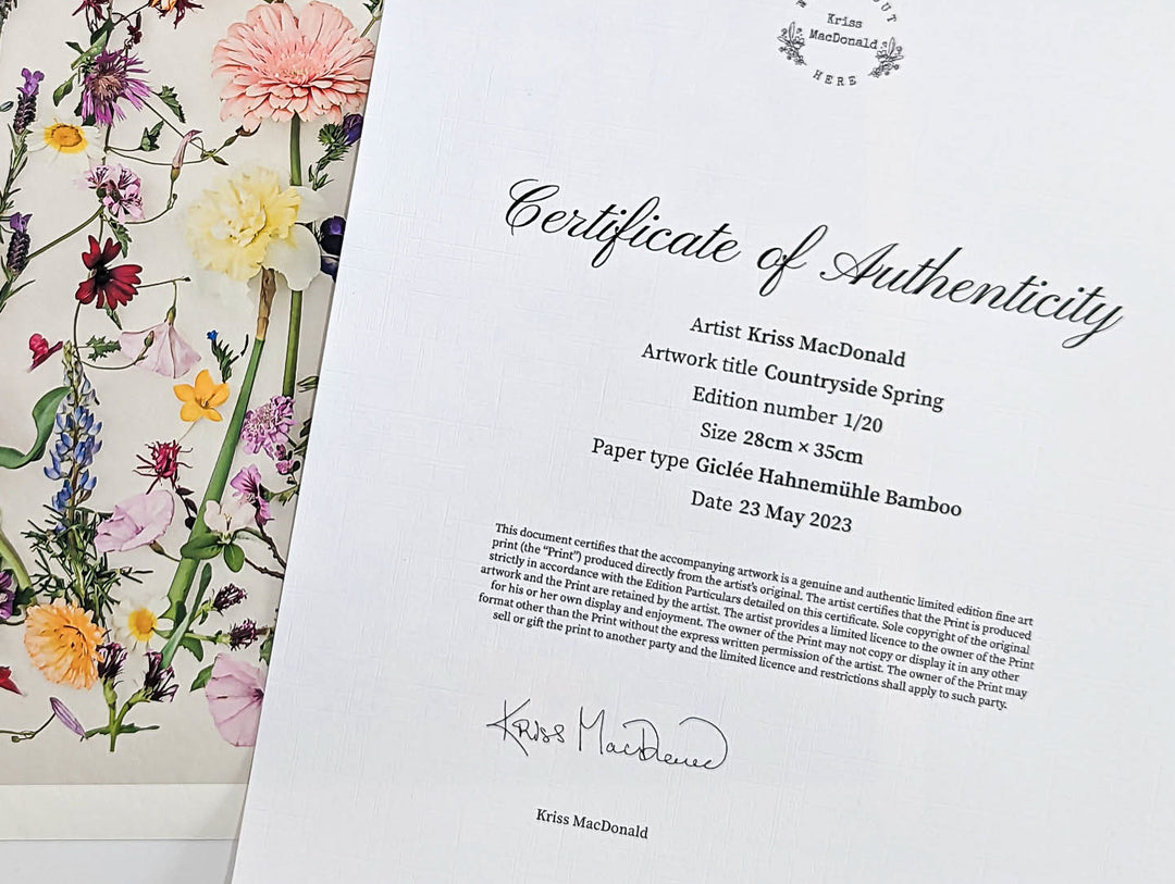 Certificate of Authenticity Countryside Spring
