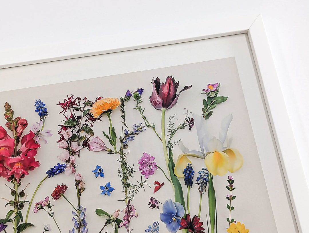 White wood frame Countryside Spring