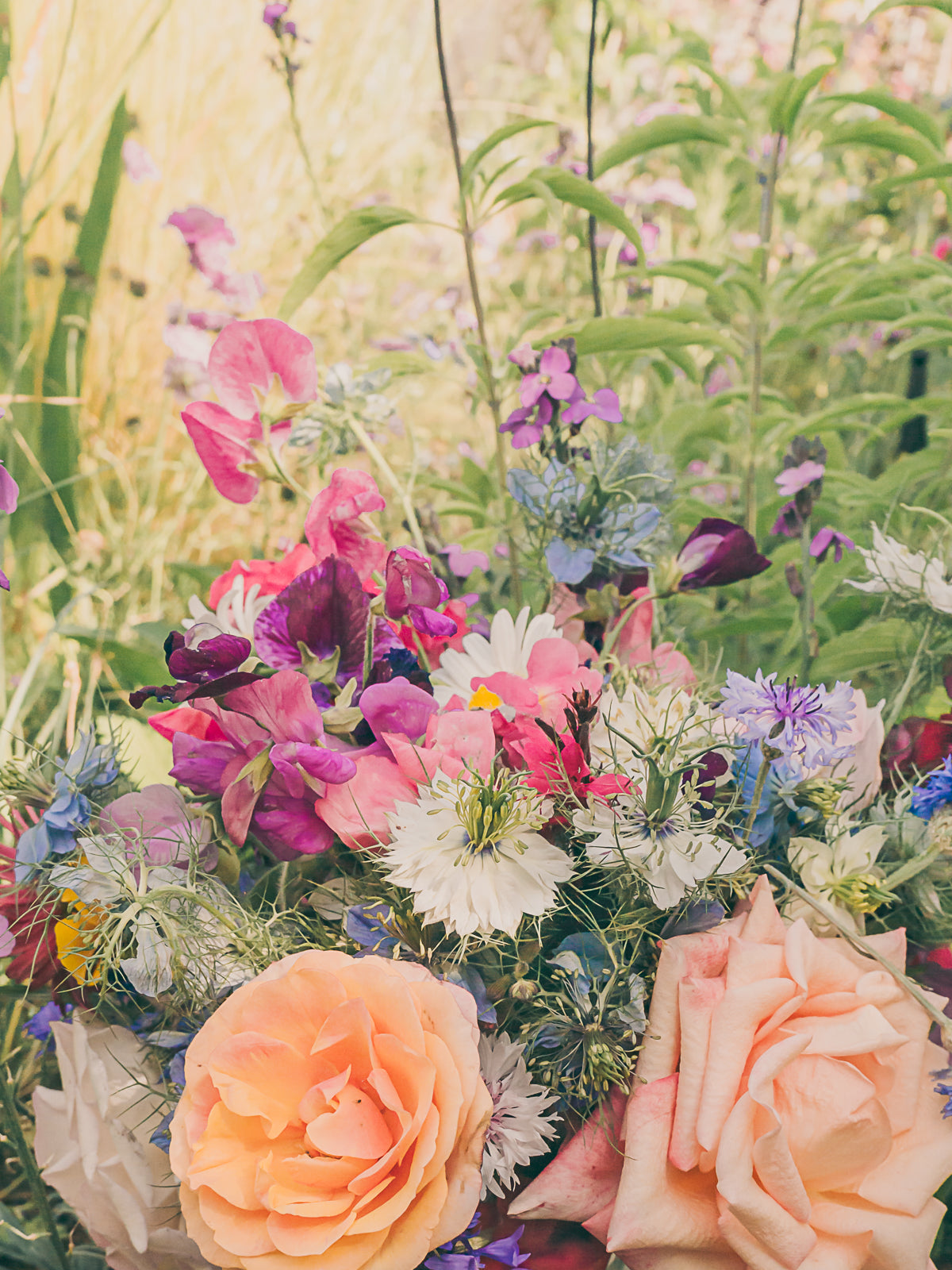 Garden flowers