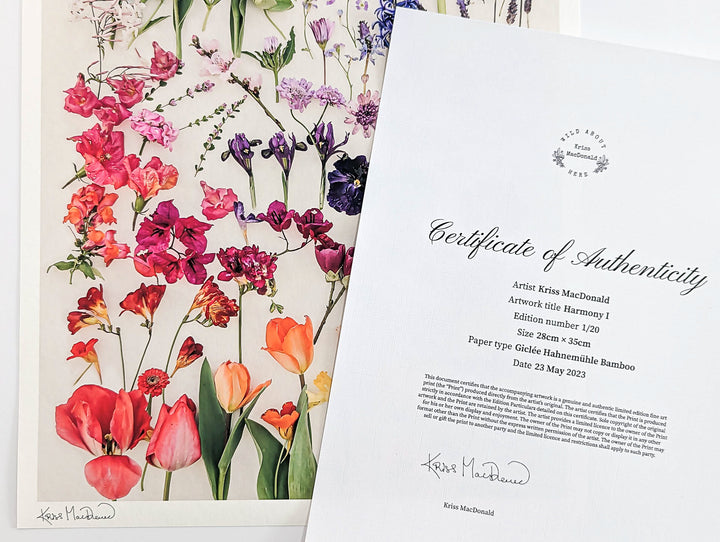 Certificate of Authenticity Harmony I