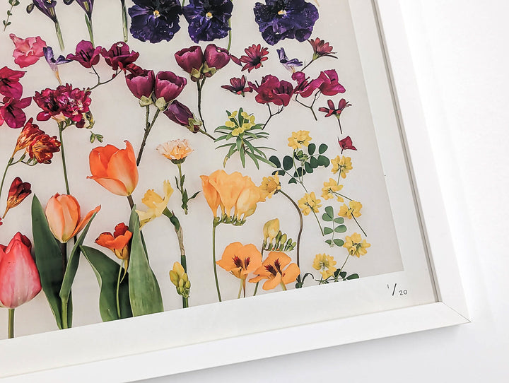 White wood frame Harmony I