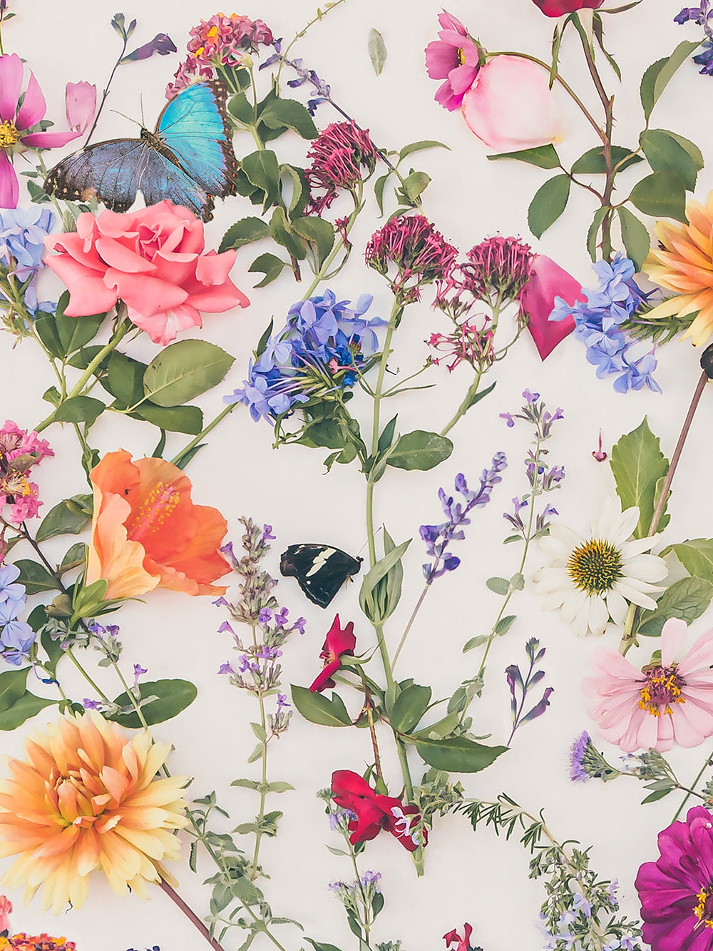 Love Butterfly Garden print detail