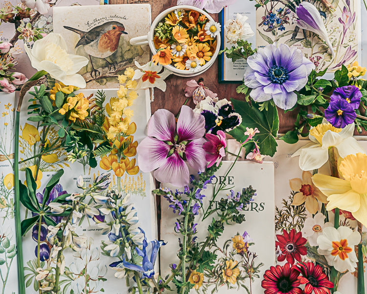 Newsletter sign up with books and flowers