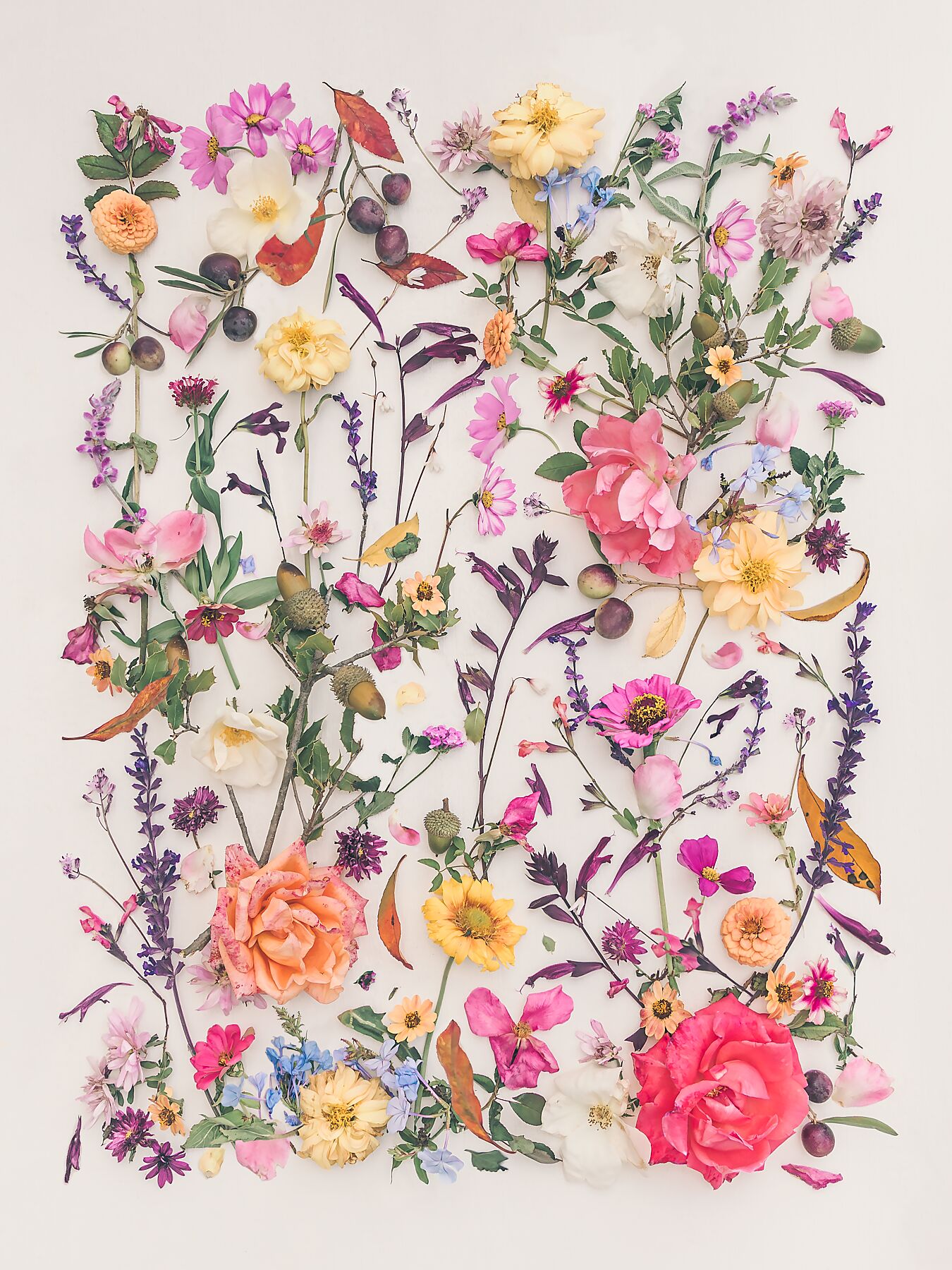 Autumn wind fine art print