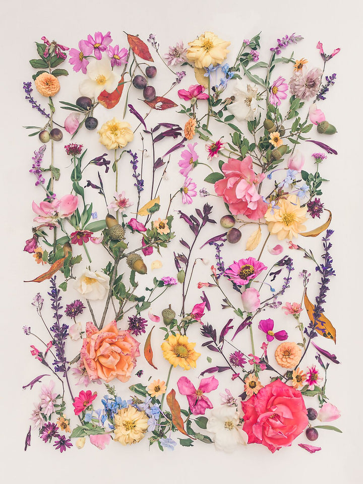 Autumn wind fine art print