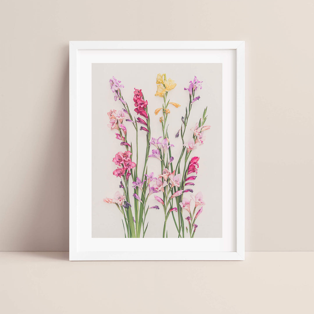 Gladiolus flower print in white frame