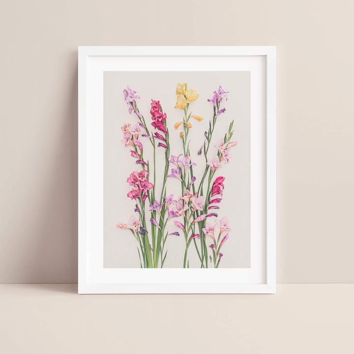 Gladiolus flower print in white frame