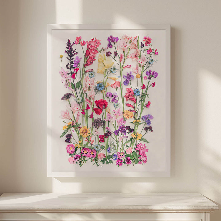 White frames Poppy and Gladiolus above chest