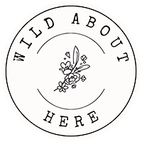 Shop.wildabouthere.com