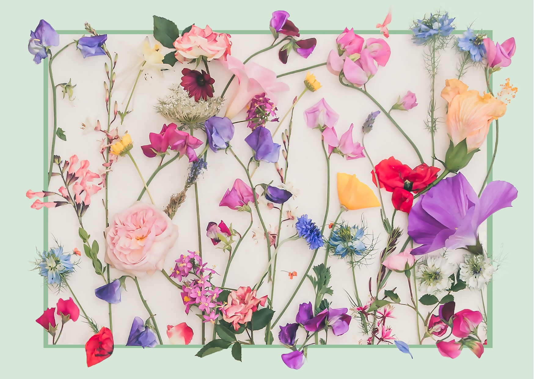 postcard with floral design