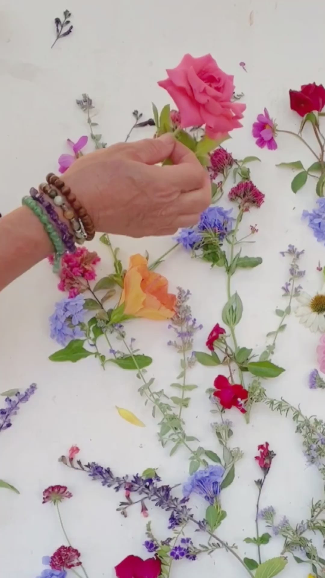 Creating floral artwork with flowers butterflies